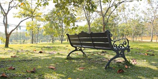 多莉:公园草坪上的长椅。