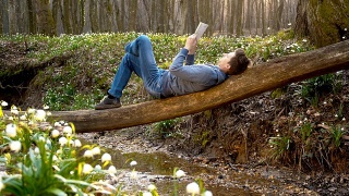 一个人在春天的森林里看书视频素材模板下载