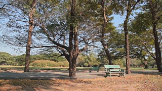 多莉:公园里的小路，路旁有长凳。视频素材模板下载