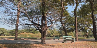 多莉:公园里的小路，路旁有长凳。