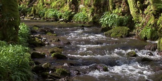 一条小溪流过苏格兰乡村