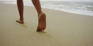 柔软的沙滩上有脚步声