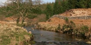 苏格兰乡村景色，流淌的溪流和林地