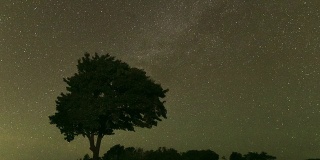 夜晚美丽的银河在天上伴着树