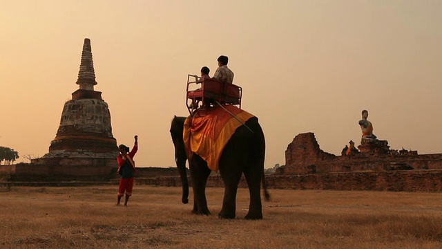 游客在泰国的大城府骑大象和佛塔