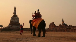 游客在泰国的大城府骑大象和佛塔视频素材模板下载