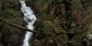 苏格兰乡村林地小溪上的瀑布