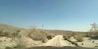 沙漠驾驶