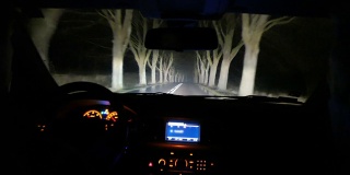 在夜晚驾车穿过森林