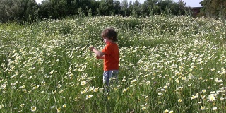 小男孩摘花