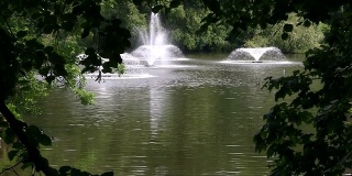 泉水池中的喷泉