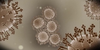 猪流感病毒-微观动画3