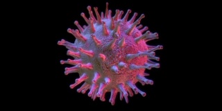 猪流感H1N1病毒(HD/Loop)