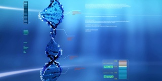 电脑屏幕上的动画DNA链。