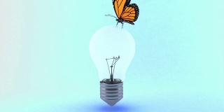 蝴蝶落在一个灯泡上，灯泡就亮了。