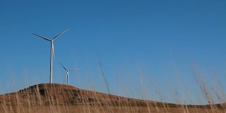 草丛中的两台风力涡轮机