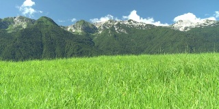 HD CRANE:美丽的绿色景观