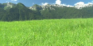 HD CRANE:朱利安阿尔卑斯山的美丽风景