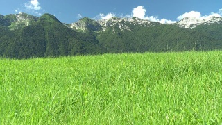 HD CRANE:朱利安阿尔卑斯山的美丽风景视频素材模板下载