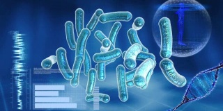 细菌和DNA分子在电脑屏幕上。