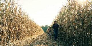 高清多莉:农民和孩子在玉米地里散步