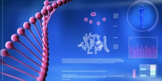 电脑屏幕上的动画DNA链。
