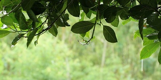 下雨的天气。