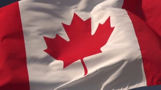 超级慢动作高清-加拿大国旗近距离视频素材模板下载