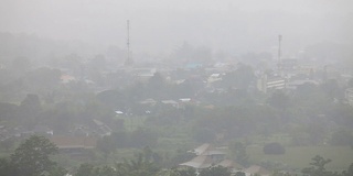 森林中大雨