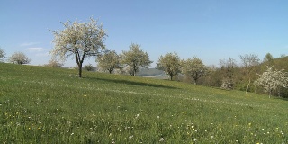 美丽的瑞士春天的照片