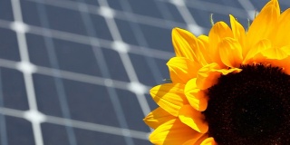 太阳能电池板与向日葵前景