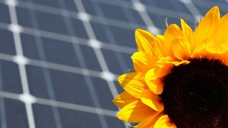 太阳能电池板与向日葵前景视频素材模板下载