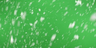 雪花落在绿色的背景上