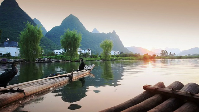 中国桂林，河筏上的鸬鹚。