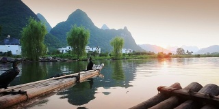 中国桂林，河筏上的鸬鹚。