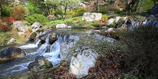 带瀑布的日式花园