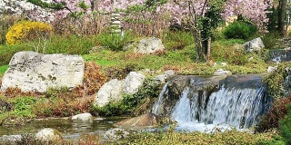 春天的日本花园