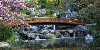 有桥和瀑布的日本花园