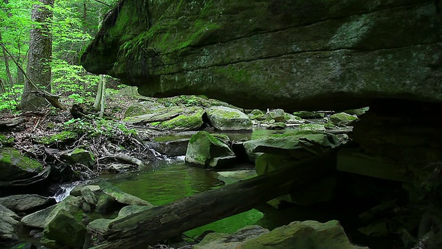 岩石下的峡谷里流淌着泉水