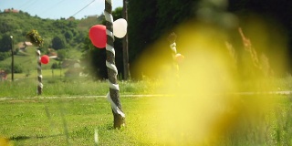 气球和花