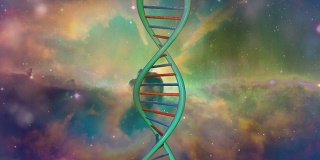 银河DNA