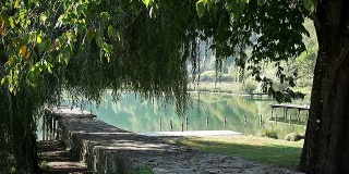 有柳树和码头的池塘