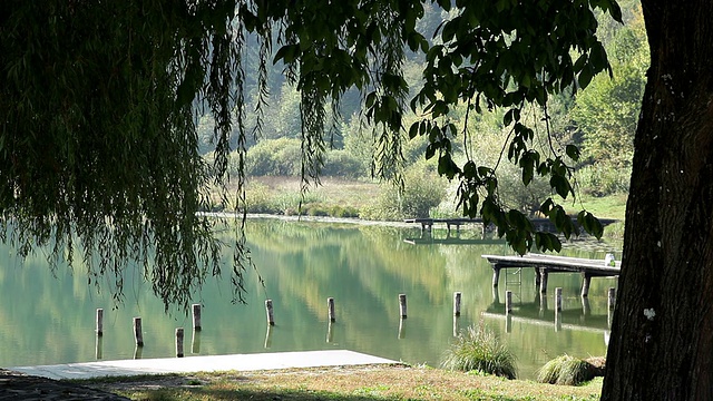 高清:池塘和柳树在前景