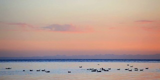 青海湖的黎明，中国
