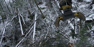 清理雨夹雪留下的烂摊子