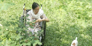亚洲资深妇女喂食与狗在她的轮椅上
