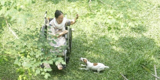 亚洲资深妇女喂食与狗在她的轮椅上