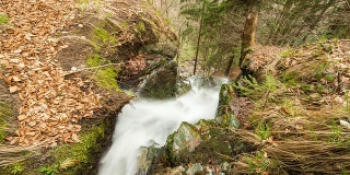 T/L 8K森林瀑布的镜头