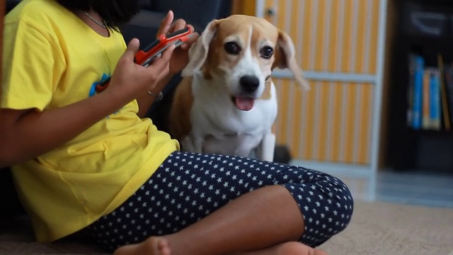 一个非洲小女孩在用她的平板电脑，她的小猎犬在看平板电脑