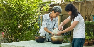 在花园里做饭的亚洲女人